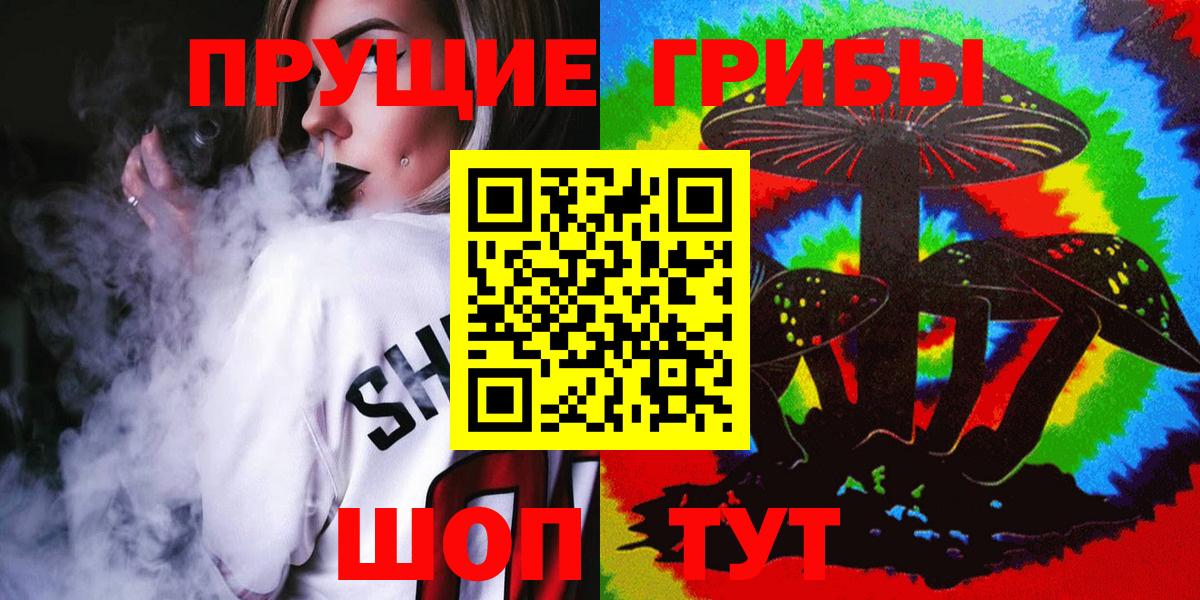 Галлюциногенные грибы Psilocybine cubensis  Вход с VPN  Псилоцибиновые грибы мицелий  Екатеринбург 